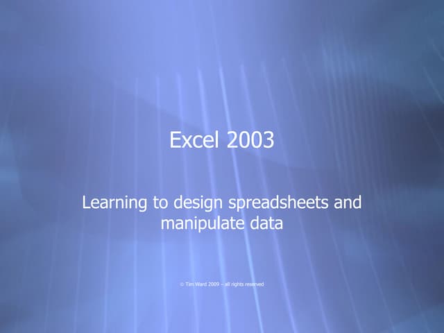 Excel 2003 Training for Business Analysts
