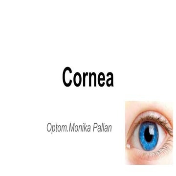 cornea and layers 