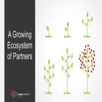 Service Launch - Nuage X as a SaaS platform for demos, integrations and sales