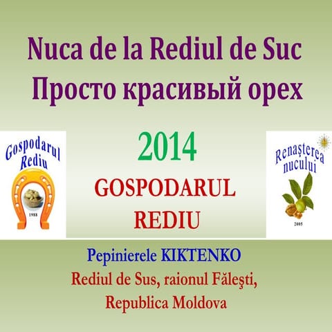 Nuca de la Rediul de Sus