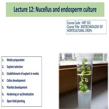 Nucellus and endosperm culture