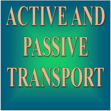 Nuclear Membrane: Active and Passive Transport