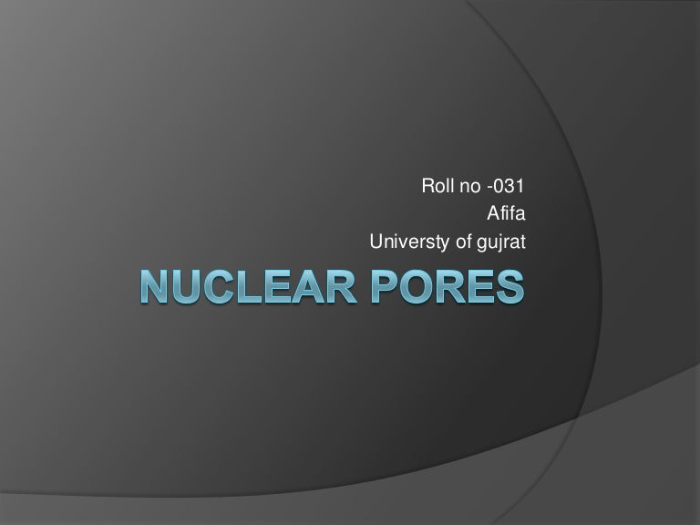 Nuclear pores