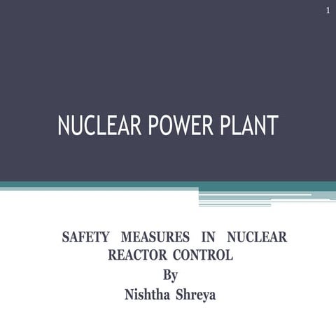 Nuclear power plant-safety measures 