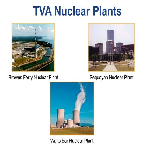 TVA and Nuclear Power