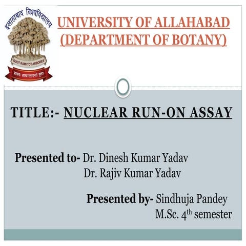 Comprehensive Overview of Nuclear Run-On Assay in Gene Transcription ...