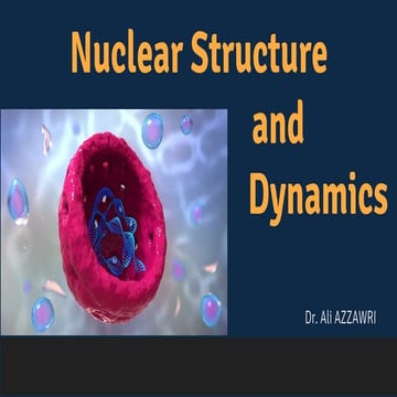 Nuclear Structure and Dynamics 
