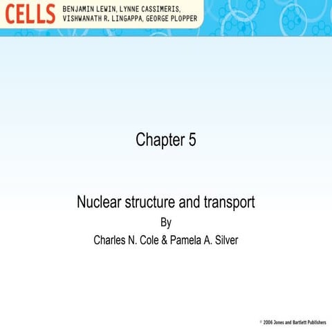 Nuclear transport