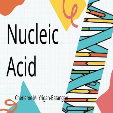 Nucleic Acid's informations , functions. | PPTX