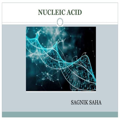 Nucleic acid