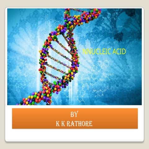 Nucleic Acid-DNA. For BSN DPT BDS MBBS..