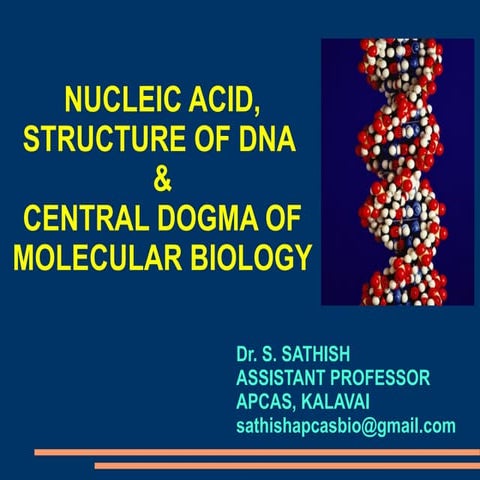 NUCLEIC ACID-DNA STRUCTURE AND Central dogma of molecular biology.pptx