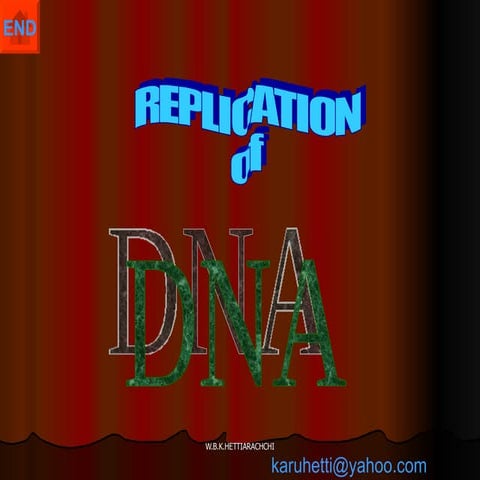 Nucleic Acid Replication English Version