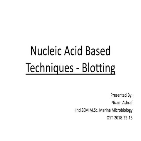 Blotting - Northern, Southern, Western
