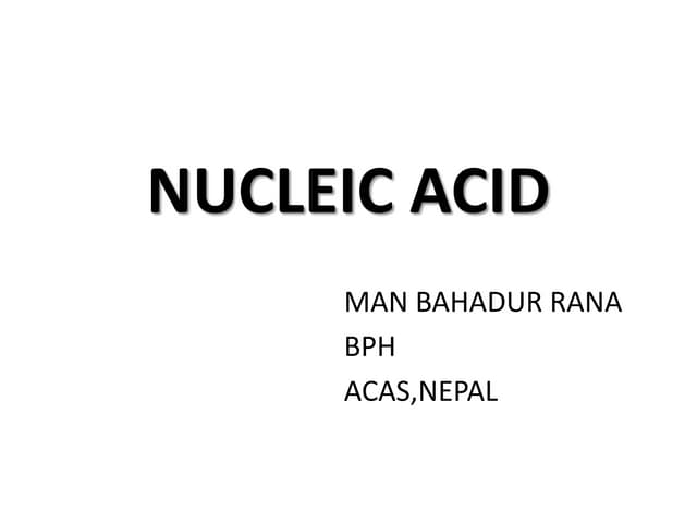 Nucleic acid bph 