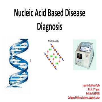 Nucleic acid disease diagnosis of fish | PPTX