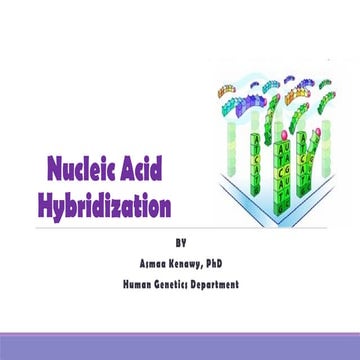 Nucleic acid hybridization.pptx molecular biology