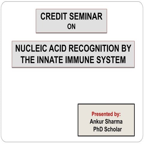 Nucleic acid recognition by the innate immune system