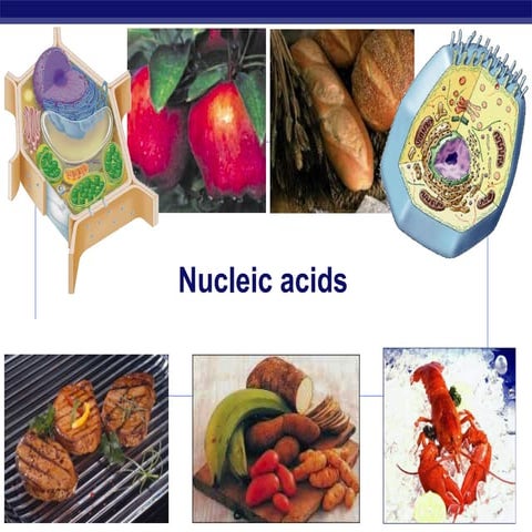 Nucleic acids