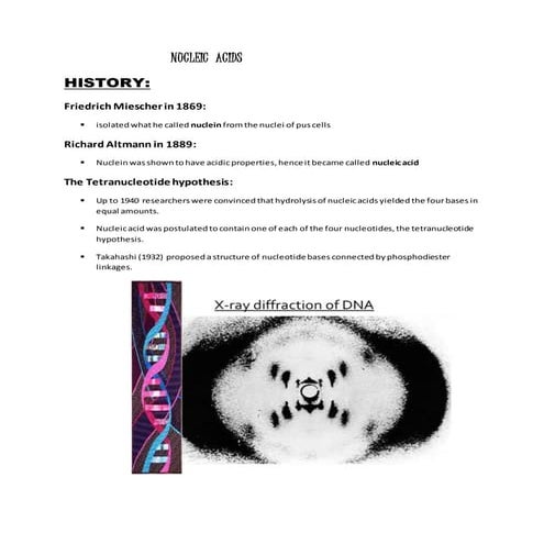 structure of Nucleic  acids