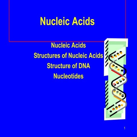 Nucleic acids---(Biochem)