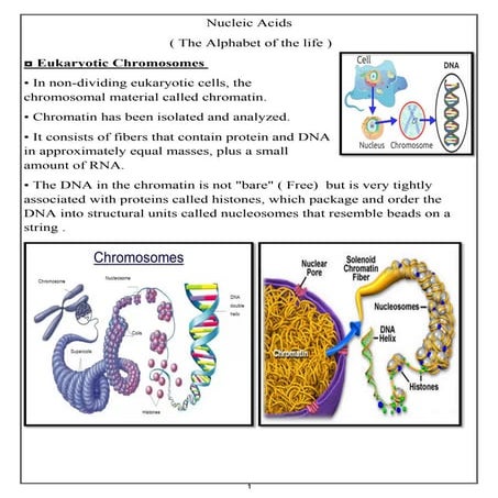 Nucleic acids