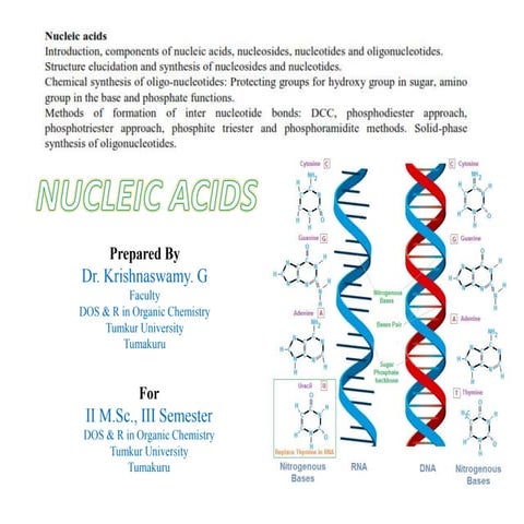 Nucleic acids | PPT