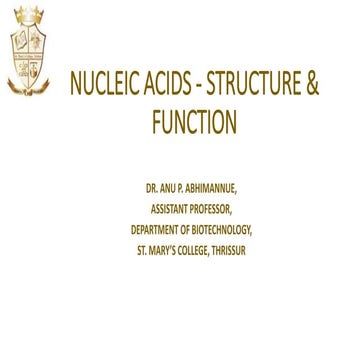 Nucleic acids   structure & function