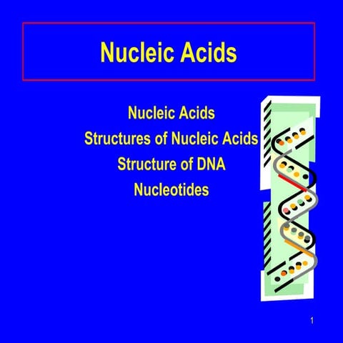 Nucleic Acids_2.ppt
