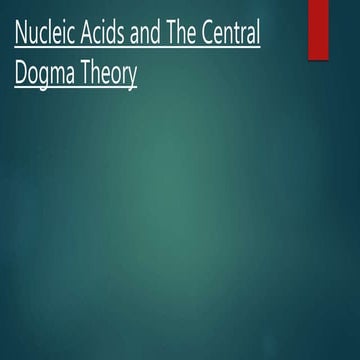 Nucleic acids and central dogma theory