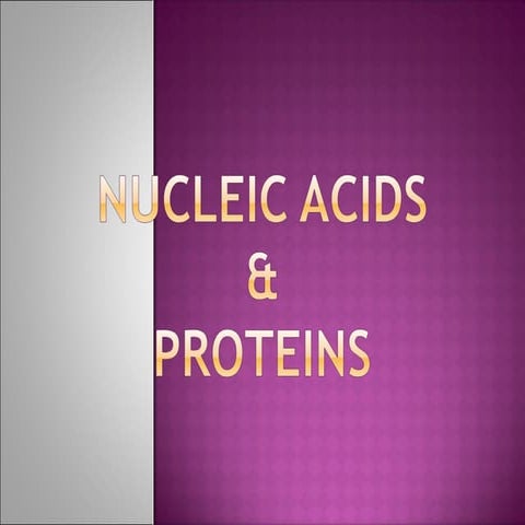 Nucleic acids and proteins academy