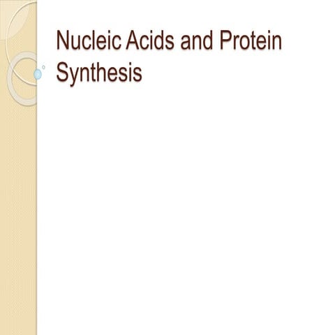 Nucleic acids and protein synthesis