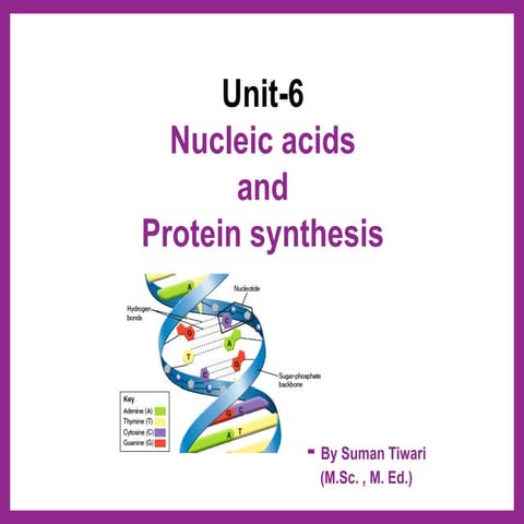 Nucleic acids and protein synthesis