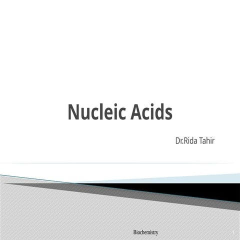 Nucleic Acids by dr.rida.pptxGGHLKHJGKHF