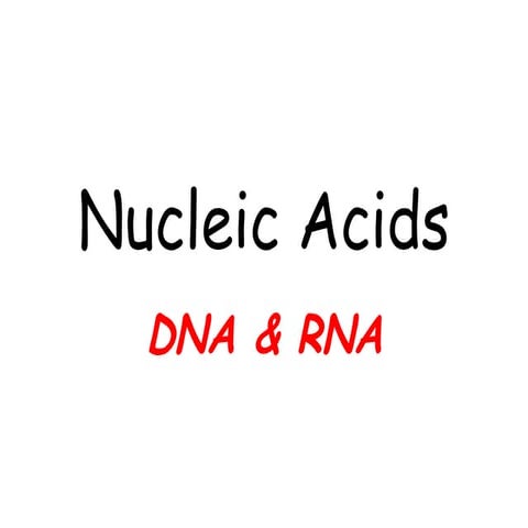Molecular basis of life: Structures and function of DNA and RNA | PPTX