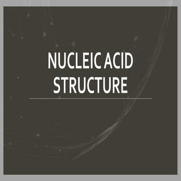nucleic acid structure.pdf
