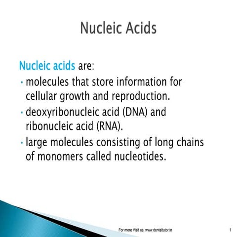 Nucleic acid 