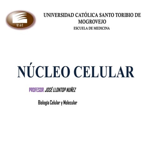 Nucleo celular