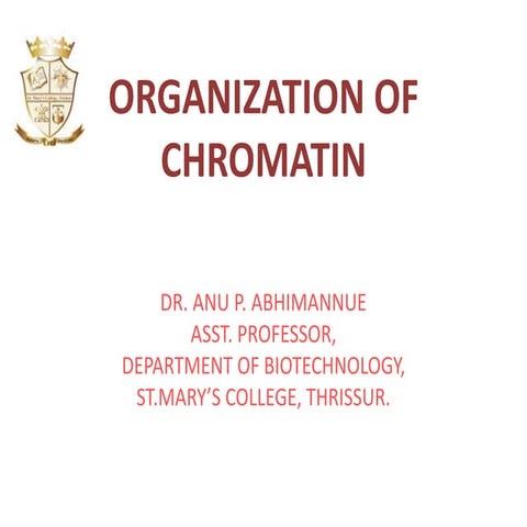 LEVELS OF CHROMATIN ORGANIZATION