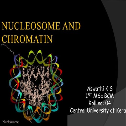 Nucleosome and chromatin