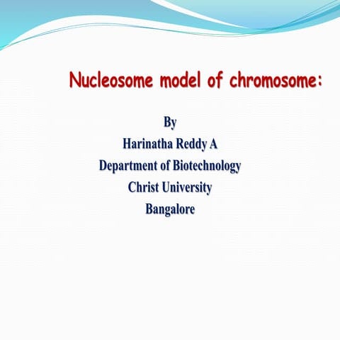 Nucleosome and histones