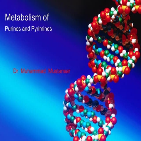 Nucleotide  METABOLISM  MUHAMMAD MUSTANSAR