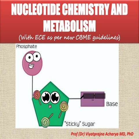 Nucleotide chemistry and metabolism with ece