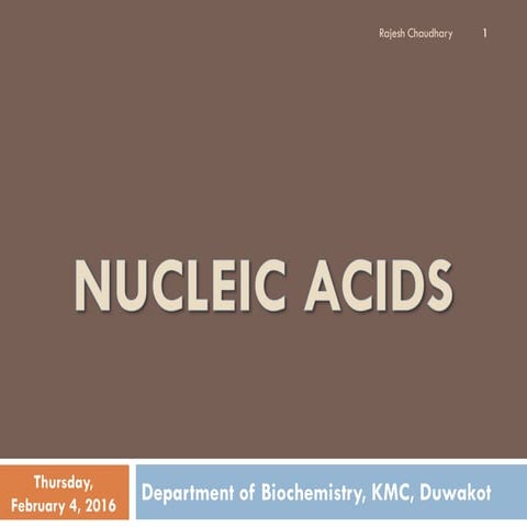 INTRODUCTION TO NUCLEIC ACIDS AND NUCLEOTIDES visual data 3