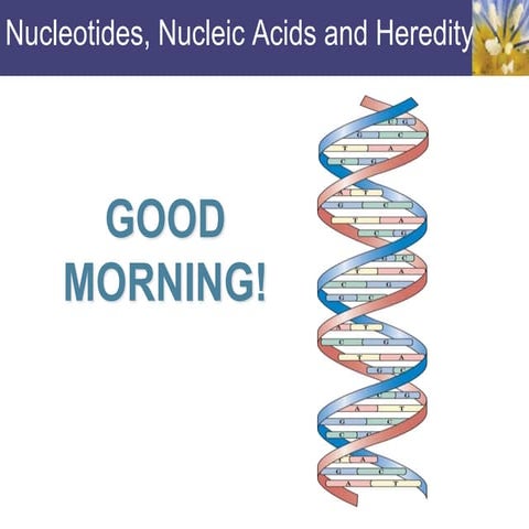 NUCLEOTIDES,NUCLEIC ACID AND HEREDITY.ppt