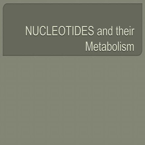 Nucleotides & their metabolism.pptx