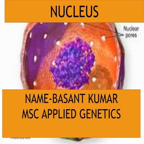 Cell nucleus 