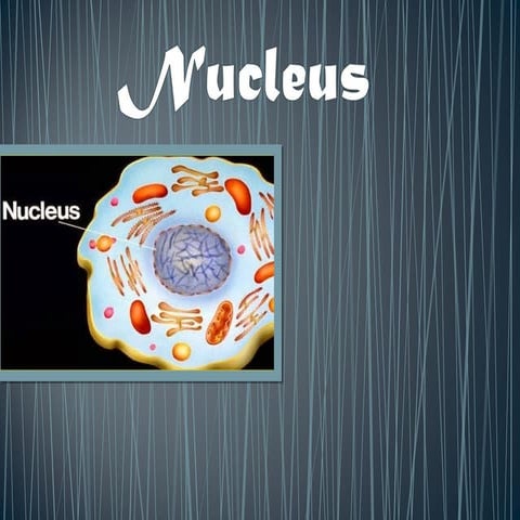 Nucleus