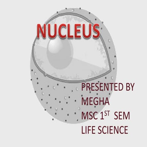 Nucleus