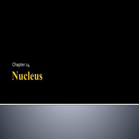 Nucleus